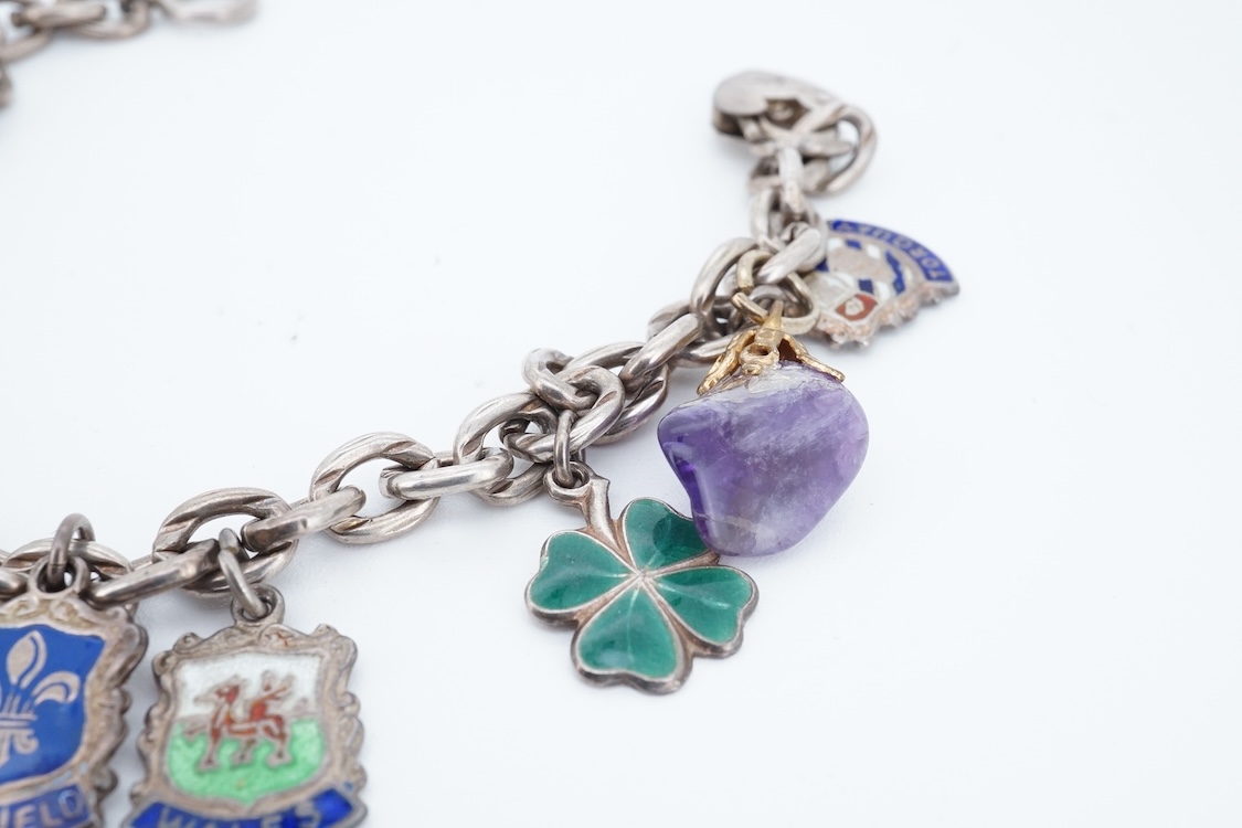 A small group of sterling, white metal and and other jewellery, including a charm bracelet, frog brooch, etc.